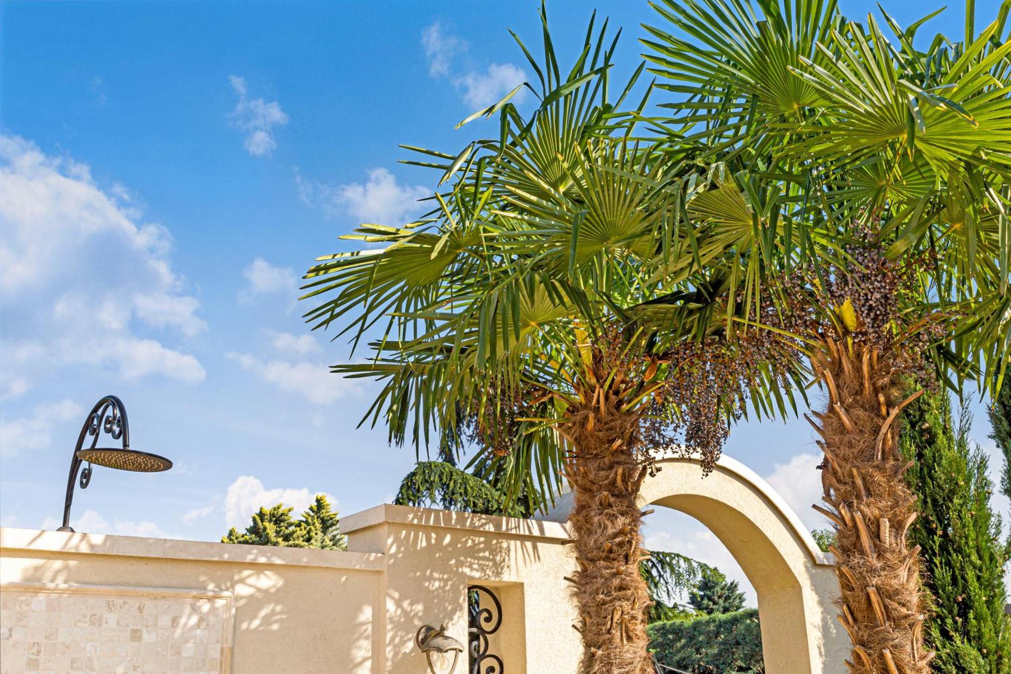 Sika Palladium Garden & Spa Central Apartment אראד מראה חיצוני תמונה