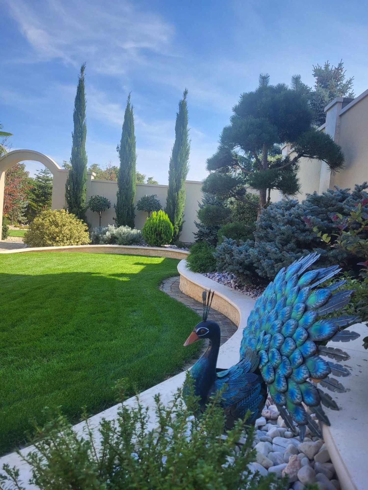 Sika Palladium Garden & Spa Central Apartment אראד מראה חיצוני תמונה